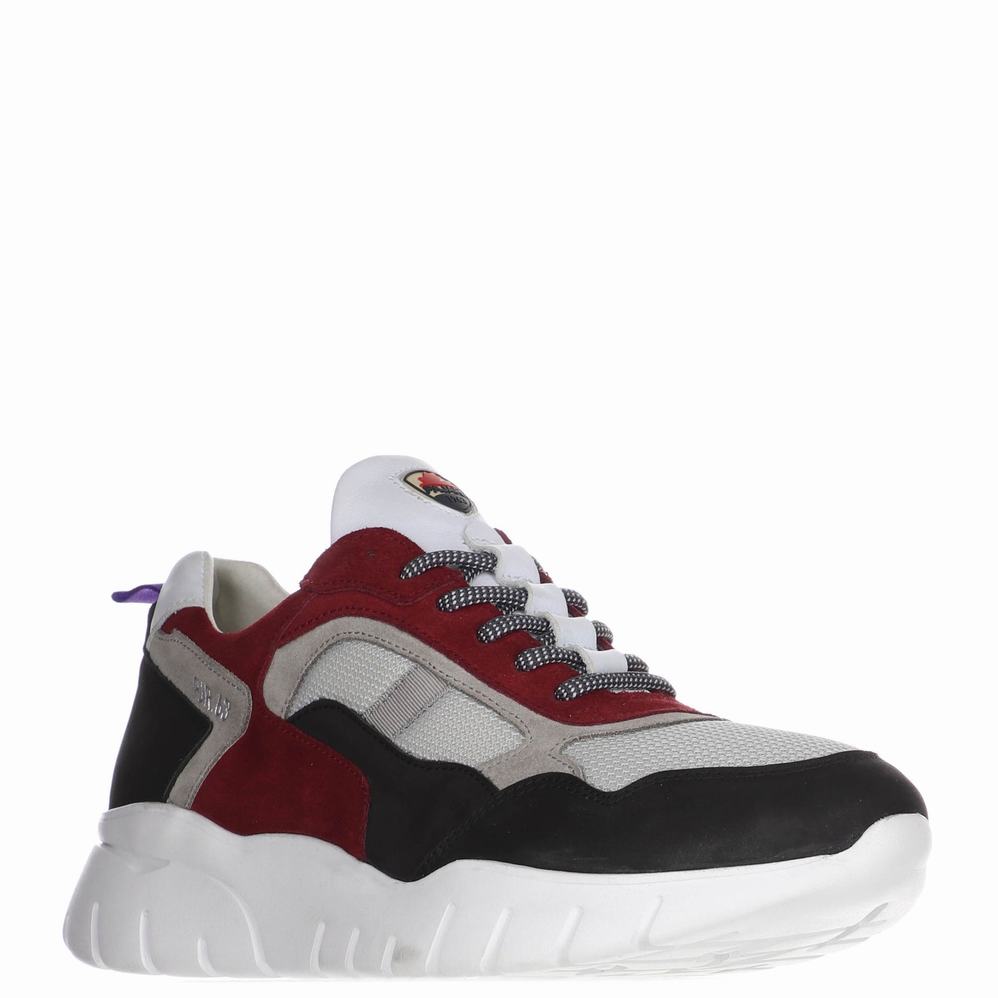 Pajar Cam Sneakers Heren Zwart Bordeaux | HZR9477QD