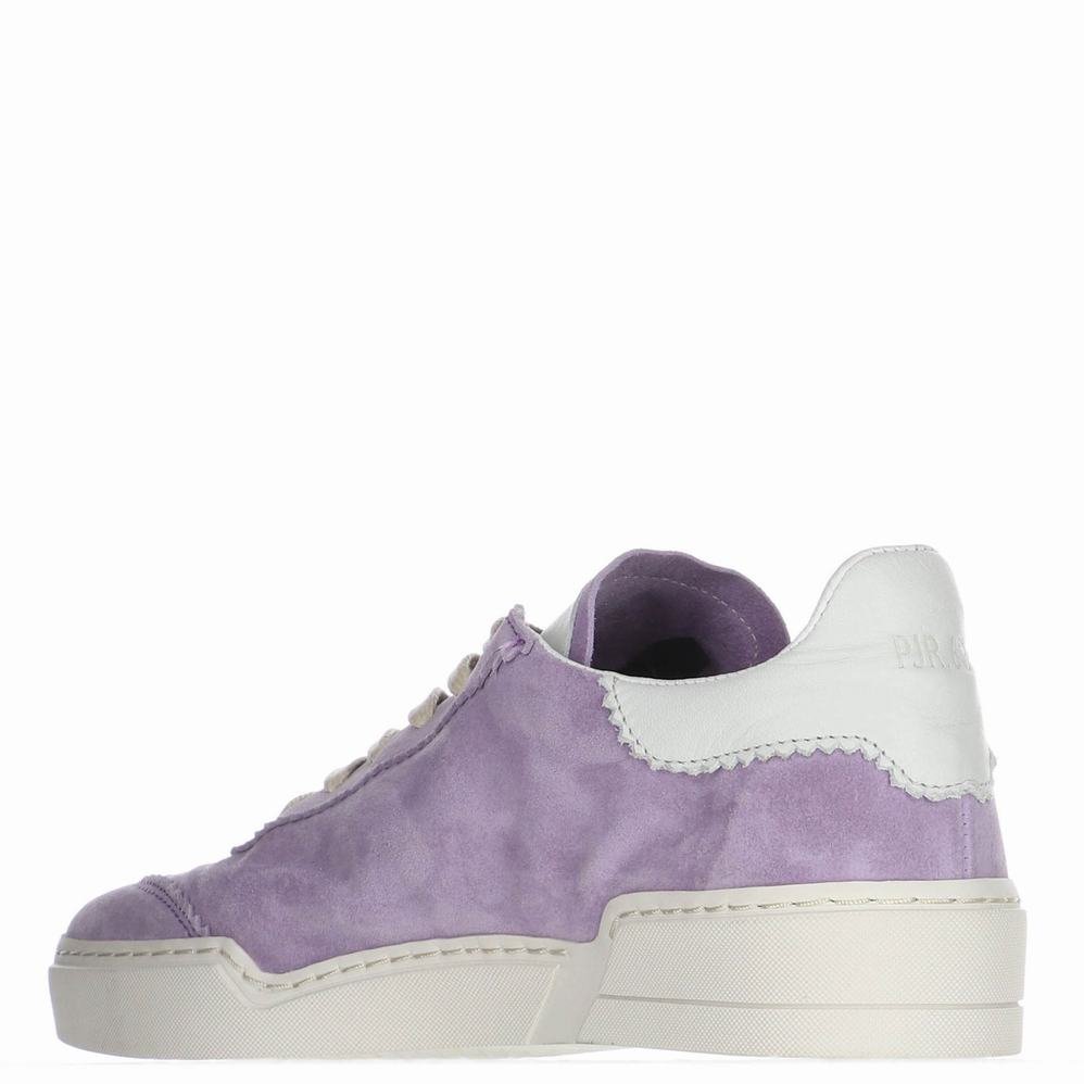 Pajar Geda Sneakers Dames Paars | CEH5858JE