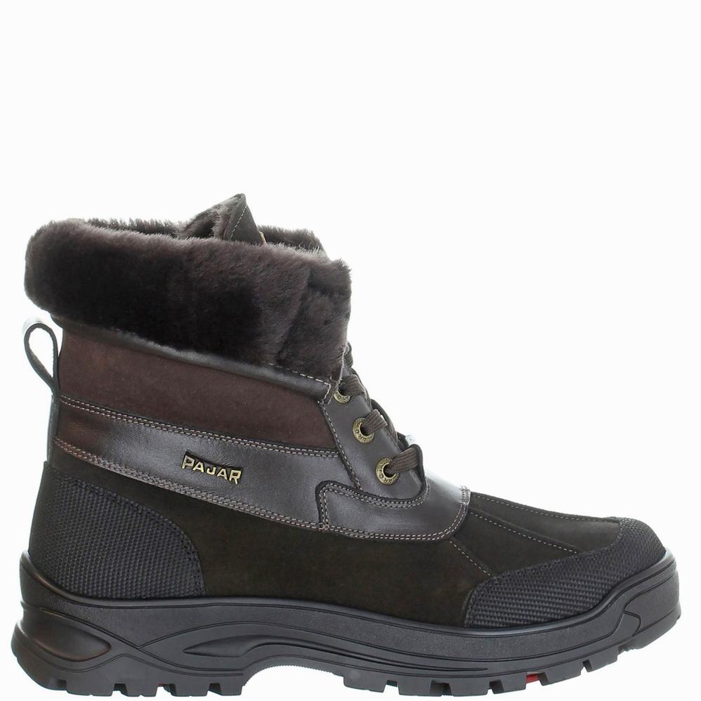 Pajar Malcolm Ice Gripper Winterschoenen Heren Donkerbruin | ORE7783TR